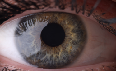 Close up image of a green eye